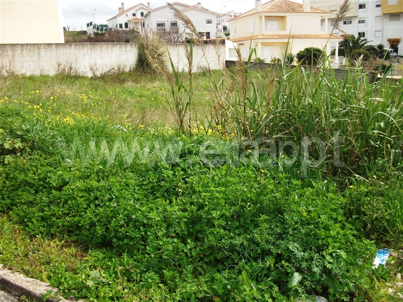 Lote  Lourinhã, Vimeiro - 500685 - 3
