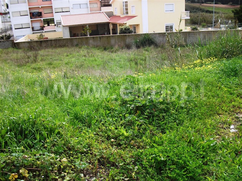 Lote  Lourinhã, Vimeiro - 500685 - 8
