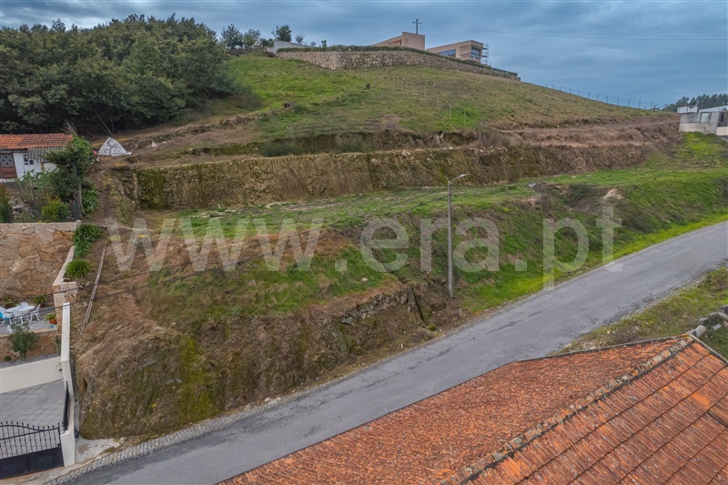 Lote / Lousada, Figueiras e Covas