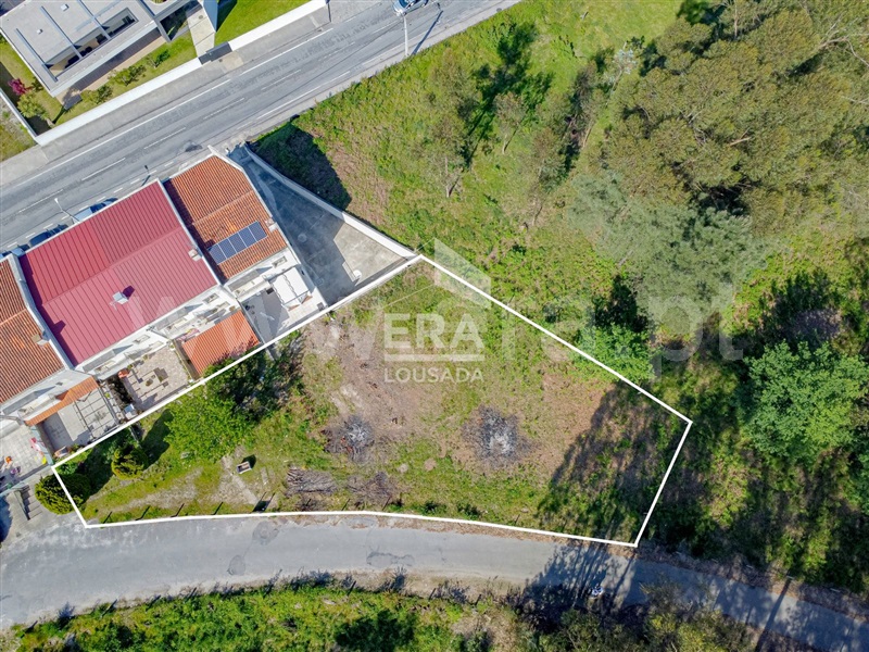 Lote / Lousada, Macieira