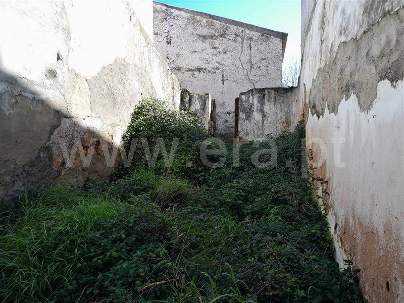 Lote  Mação, Mação - 1063151 - 3