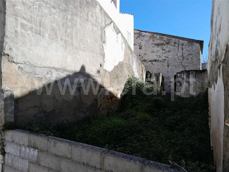 Lote / Mação, Mação