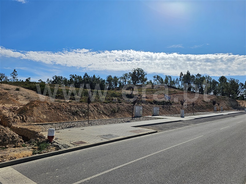 Lote  Mação, Mação - 1357212 - 1