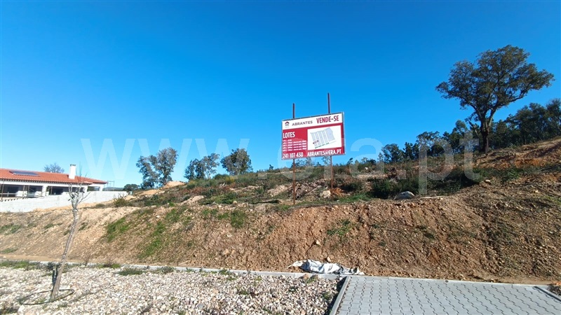 Lote / Mação, Mação