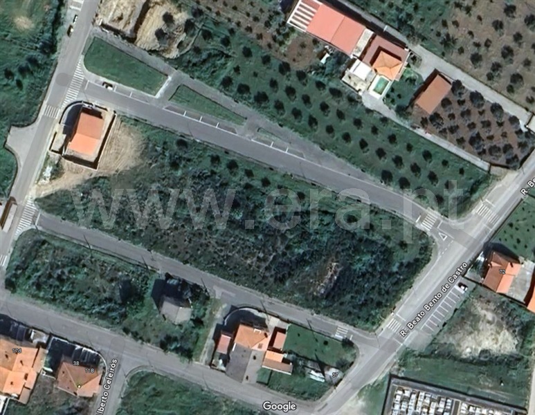 Lote / Macedo de Cavaleiros, Macedo de Cavaleiros