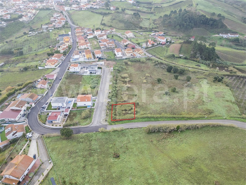 Lote / Mafra, Azueira e Sobral da Abelheira