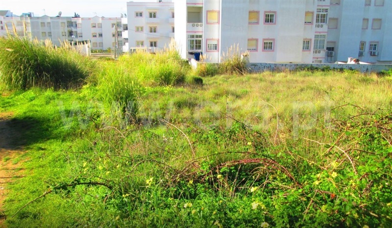 Lote  Mafra, Ericeira, Ericeira - 1284011 - 4