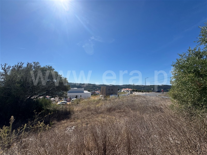 Lote  com Aprovado Mafra, Santo Isidoro - 1506254 - 13