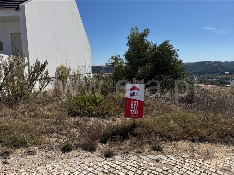Lote  com Aprovado Mafra, Santo Isidoro - 1506254 - 16