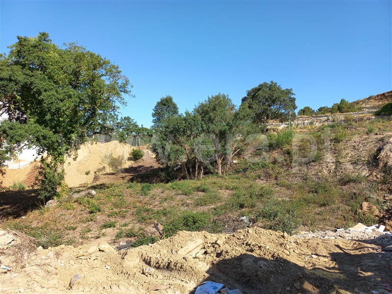Lote  Mafra, Venda do Pinheiro - 1234207 - 4