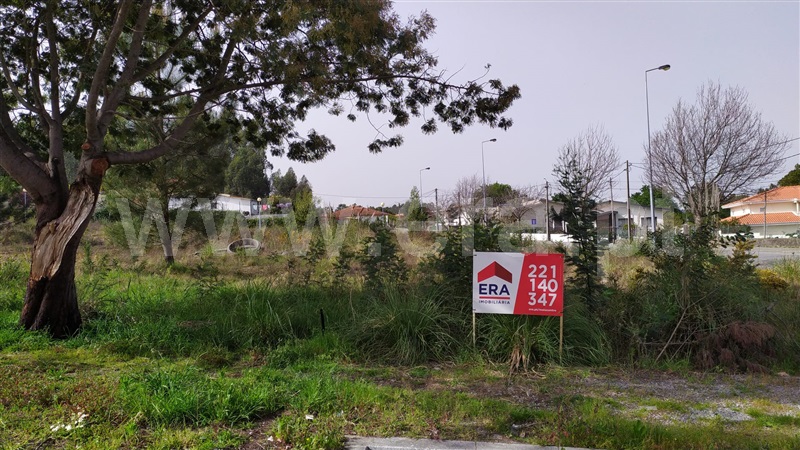 Lote / Maia, Castêlo da Maia