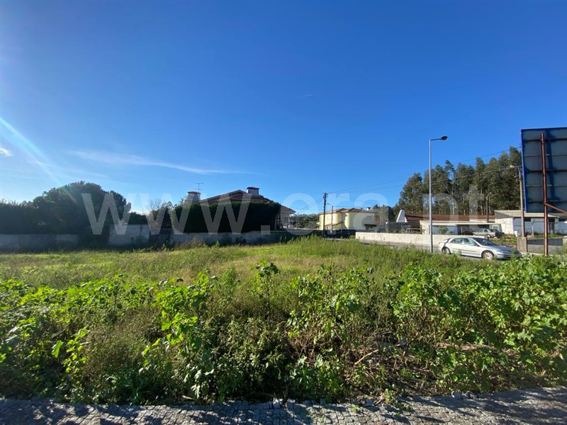 Lote  Maia, Castêlo da Maia - 1374075 - 2