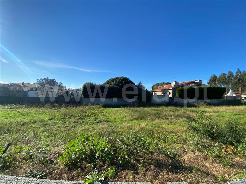 Lote  Maia, Castêlo da Maia - 1374075 - 3