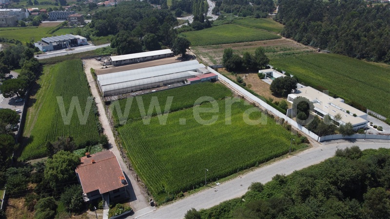 Lote / Maia, Castêlo da Maia