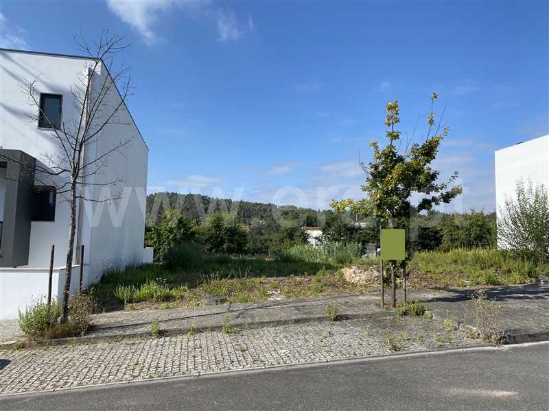 Lote  Maia, Folgosa - 1378945 - 2