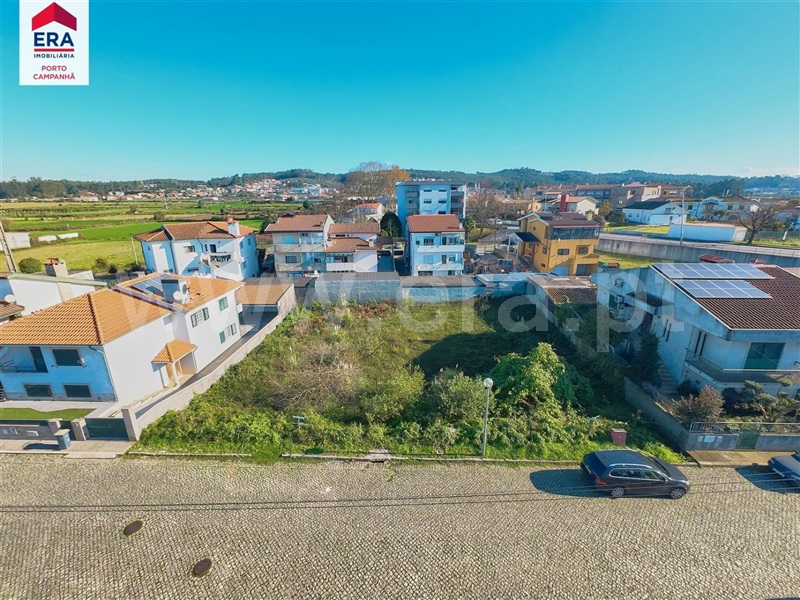 Lote / Maia, Folgosa