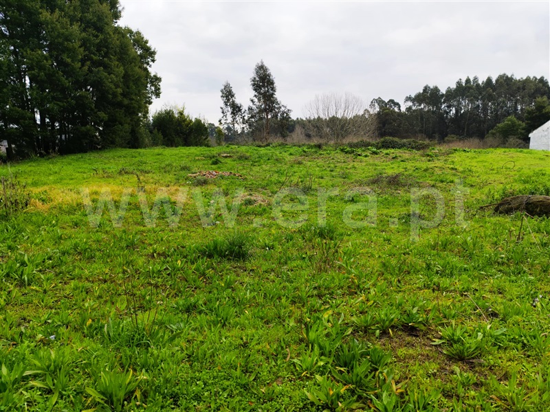 Lote / Maia, Milheirós