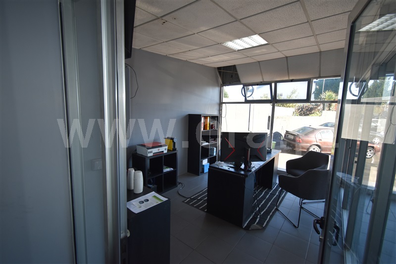 Lote  Maia, Moreira - 1299269 - 7