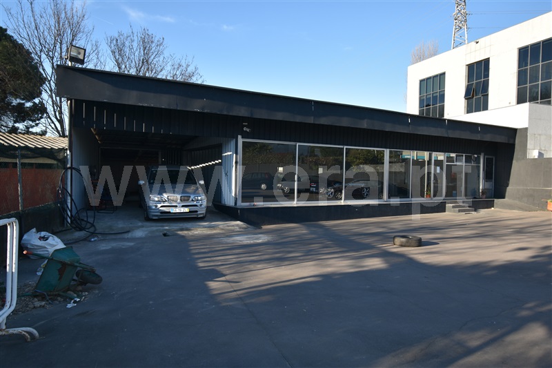 Lote  Maia, Moreira - 1299269 - 14