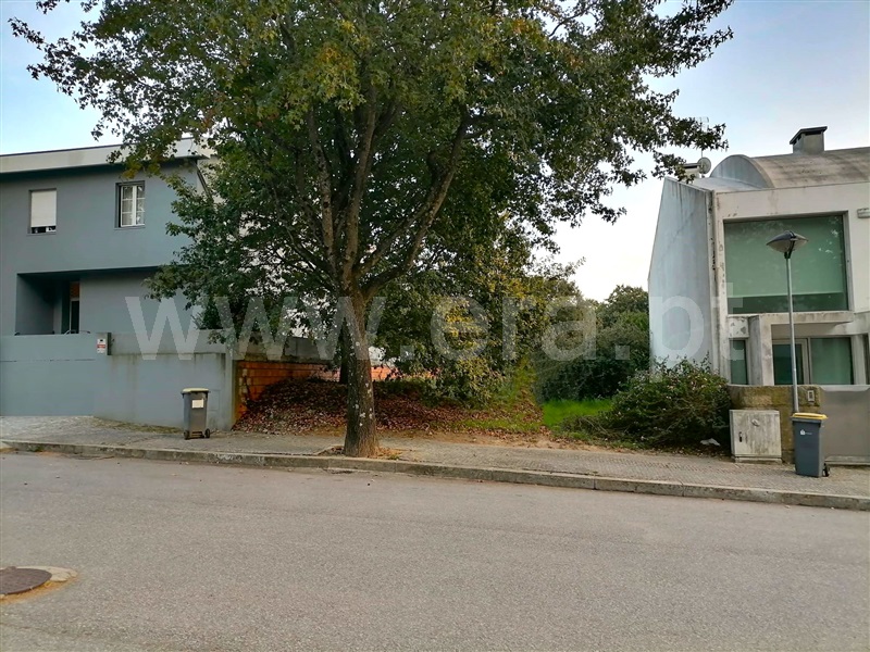 Lote  Maia, Moreira - 1360065 - 1