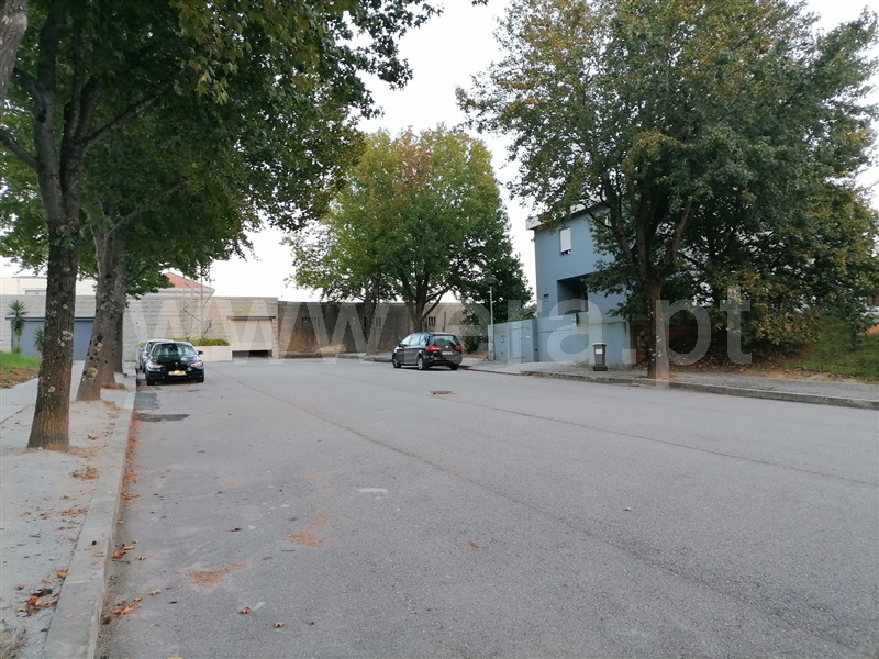 Lote  Maia, Moreira - 1360065 - 7