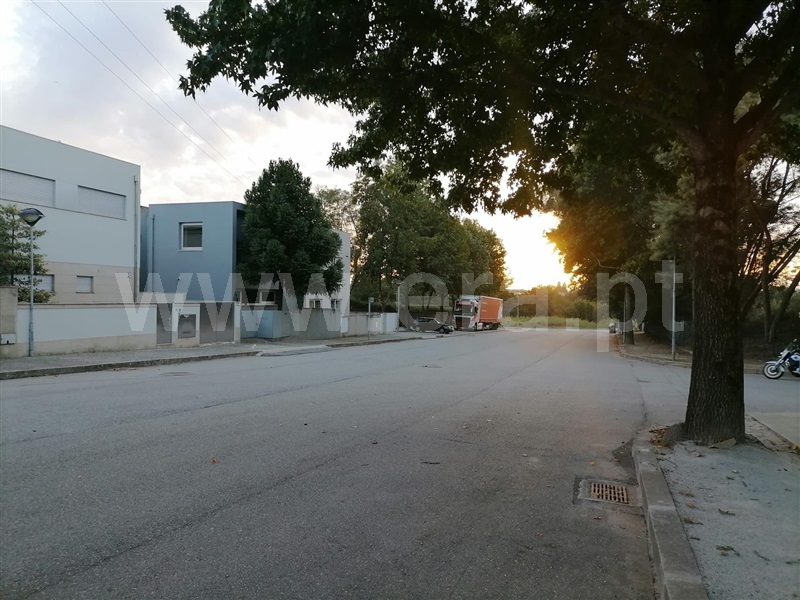 Lote  Maia, Moreira - 1499227 - 3