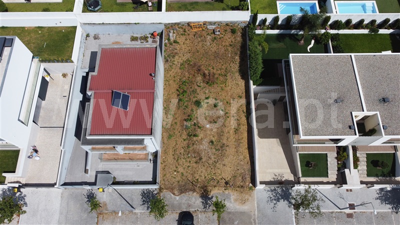 Lote  Maia, Nogueira e Silva Escura - 1486587 - 9