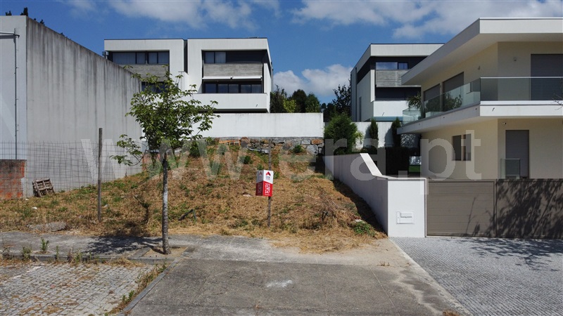 Lote  Maia, Nogueira e Silva Escura - 1486587 - 14
