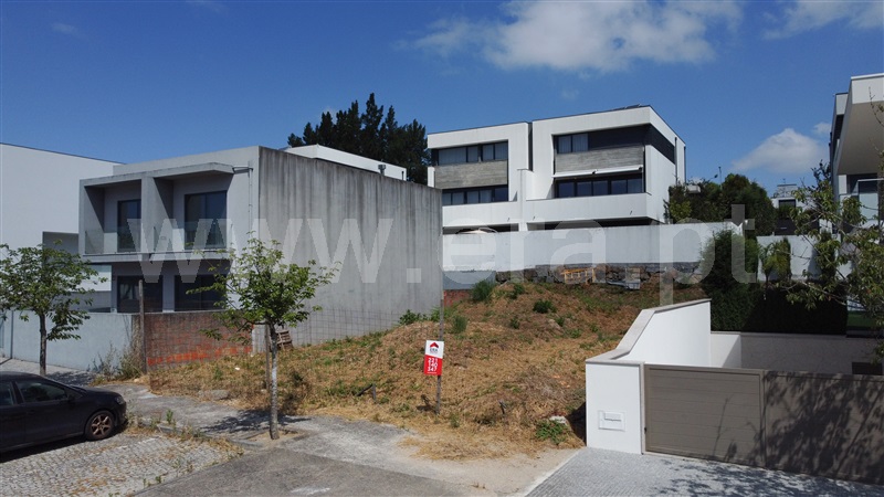Lote  Maia, Nogueira e Silva Escura - 1486587 - 15