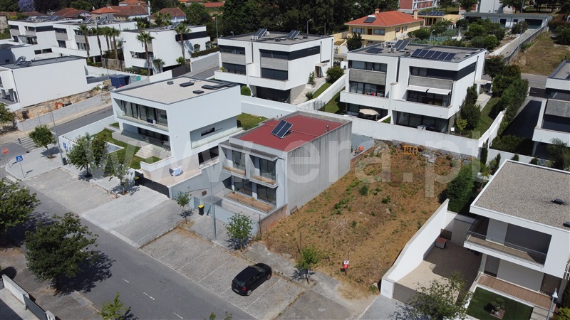 Lote  Maia, Nogueira e Silva Escura - 1486587 - 16