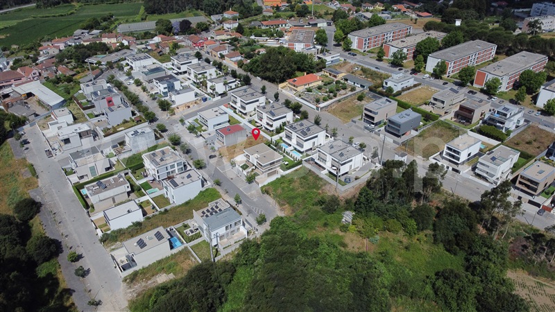 Lote  Maia, Nogueira e Silva Escura - 1486587 - 13