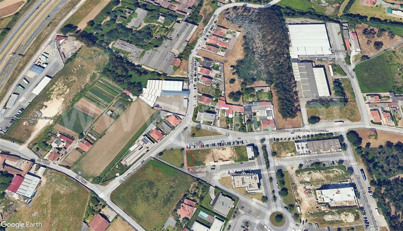 Lote  Maia, Nogueira - 1501303 - 2