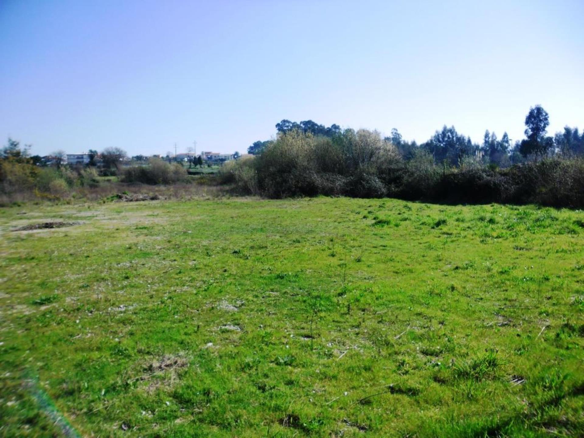 Terreno em Maia