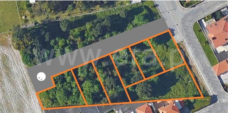 Lote / Maia, Vila Nova da Telha