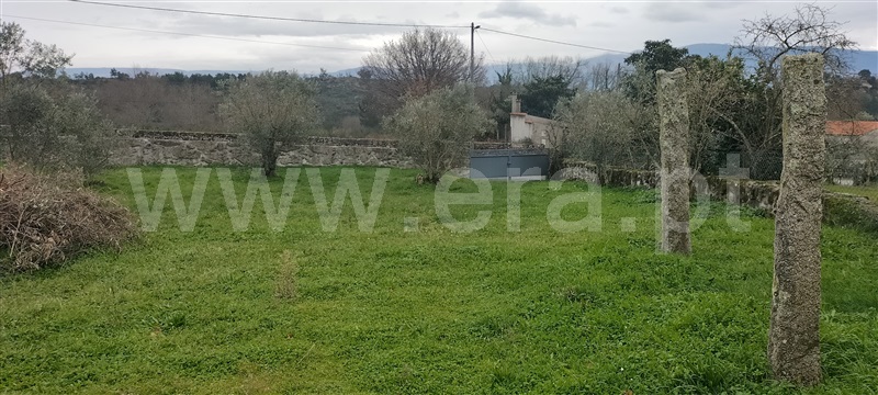Lote T5 Mangualde, Abrunhosa-a-Velha - 1456833 - 2