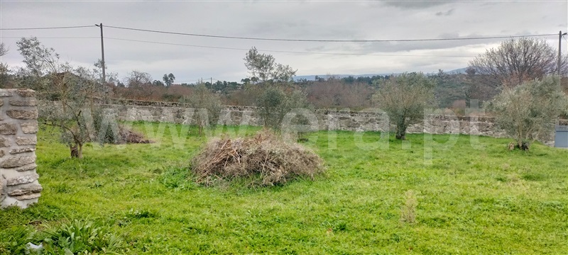 Lote T5 Mangualde, Abrunhosa-a-Velha - 1456833 - 4