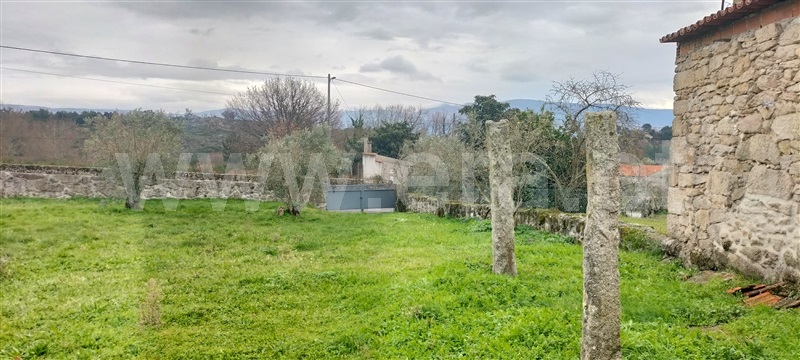 Lote T5 Mangualde, Abrunhosa-a-Velha - 1456833 - 5