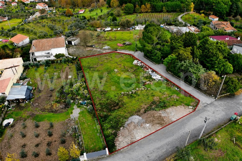 Lote / Mangualde, Alcafache