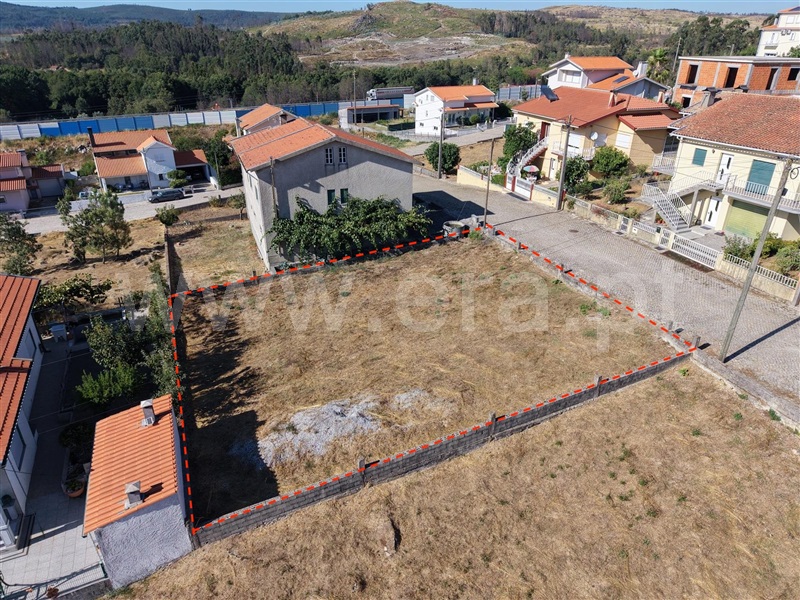 Lote / Mangualde, Freixiosa