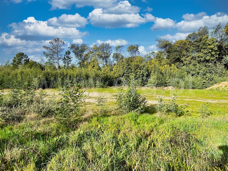 Lote  Mangualde, Mangualde, Mesquitela e Cunha Alta - 1381181 - 5