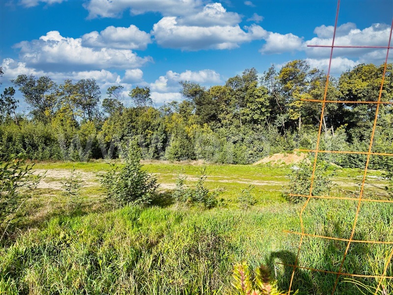 Lote  Mangualde, Mangualde, Mesquitela e Cunha Alta - 1381181 - 6