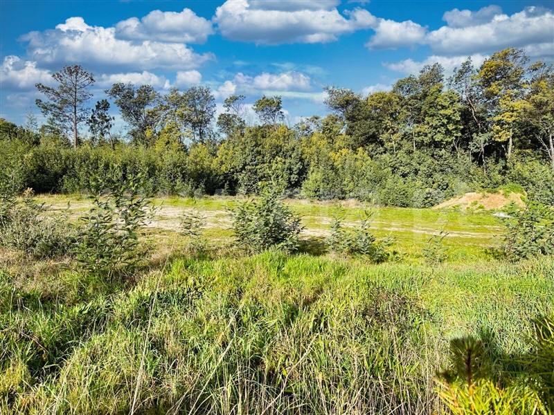 Lote  Mangualde, Mangualde, Mesquitela e Cunha Alta - 1381181 - 7