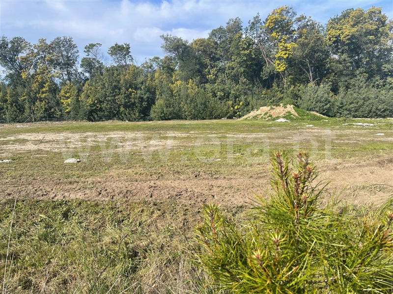 Lote  Mangualde, Mangualde, Mesquitela e Cunha Alta - 1381181 - 9