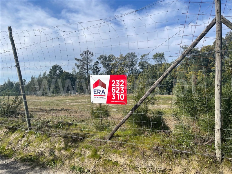 Lote / Mangualde, Mangualde, Mesquitela e Cunha Alta