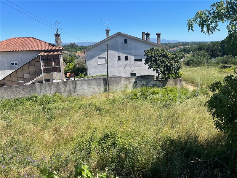 Lote / Mangualde, Mangualde, Mesquitela e Cunha Alta