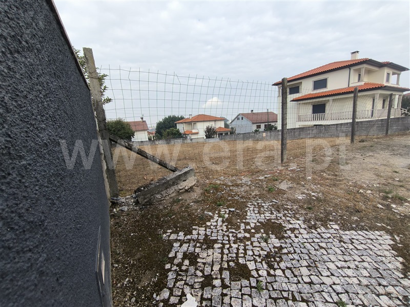 Lote  Mangualde, Mangualde, Mesquitela e Cunha Alta - 1430595 - 2