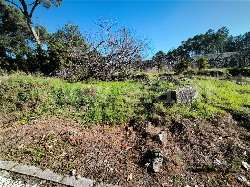 Lote  Mangualde, Mangualde, Mesquitela e Cunha Alta - 1450423 - 2