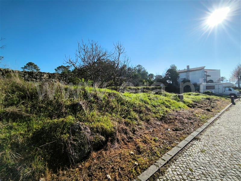 Lote  Mangualde, Mangualde, Mesquitela e Cunha Alta - 1450423 - 3