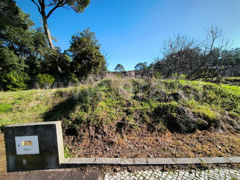 Lote  com Urbano Mangualde, Mangualde, Mesquitela e Cunha Alta - 1450423 - 5