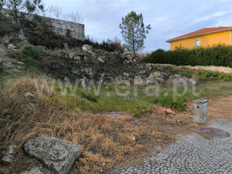 Lote  Mangualde, Mangualde, Mesquitela e Cunha Alta - 1453397 - 13